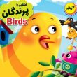 آشنایی با پرندگان