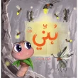 جلد بنی